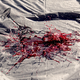 Illustration for article titled Shooting Challenge: 1/1000 Gallery